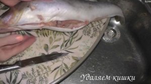 Как разделать рыбу #рыба #разделка
