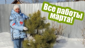 Мартовские работы в саду и огороде! Что сеять на рассаду, когда и чем обработать деревья