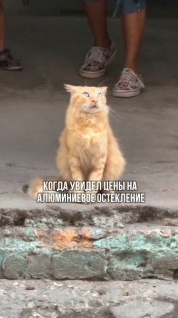 Когда увидел цены на алюминиевое остекление!