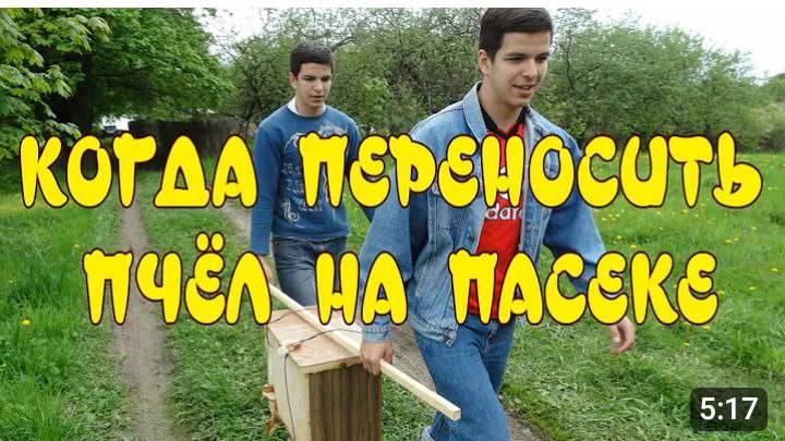 КОГДА ПЕРЕНОСИТЬ УЛЬИ НА ПАСЕКЕ. КАК ПЕРЕНЕСТИ УЛЬИ НА ДРУГОЕ МЕСТО. ПЕРЕМЕЩЕНИЕ УЛЬЕВ. смотреть онлайн