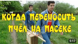 КОГДА ПЕРЕНОСИТЬ УЛЬИ НА ПАСЕКЕ. КАК ПЕРЕНЕСТИ УЛЬИ НА ДРУГОЕ МЕСТО. ПЕРЕМЕЩЕНИЕ УЛЬЕВ.