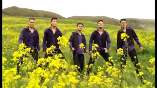 GRUPO SKALA 20 AÑOS MENOS - LA REBANCHA100% KUMBIA LIGHT SIENTE LA DIFERENCIA смотреть онлайн