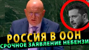 РОССИЯ В ООН! СРОЧНОЕ ЗАЯВЛЕНИЕ НЕБЕНЗИ НА ГА ООН ПО УКРАИНЕ