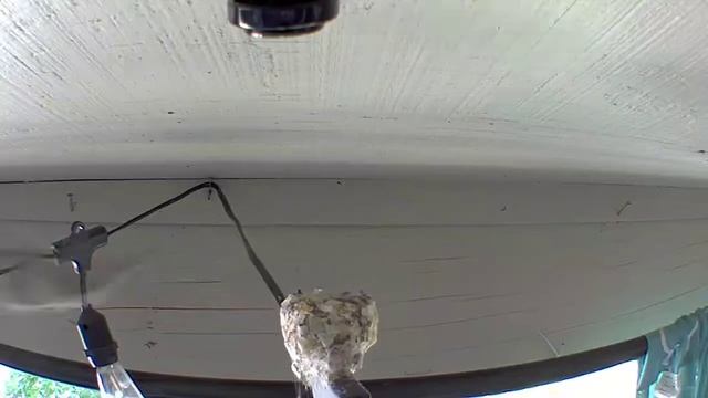 Zip! - 7/19/22 смотреть онлайн