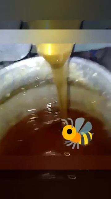 Жантачный мёд смотреть онлайн