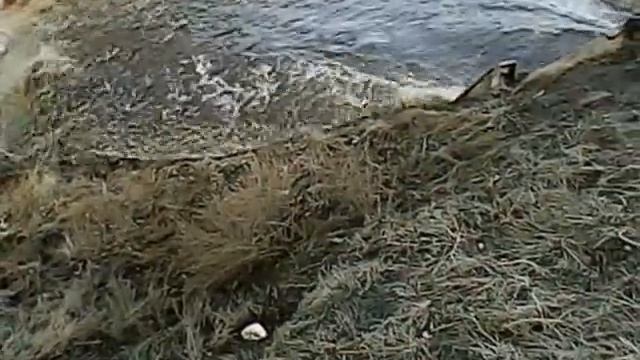 Половодье, весенняя вода с полей смотреть онлайн