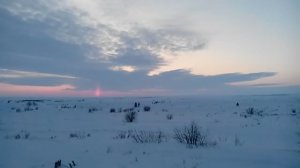 Природа России. Одна сплошная тундрааа