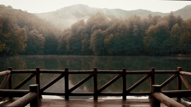 Звуки води, Природи,  Спів птахів, для релаксації, - Aurora Rochez - Relaxing Ambient Soundscapes