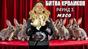 Битва кроликов 2025 - раунд 3 мясо