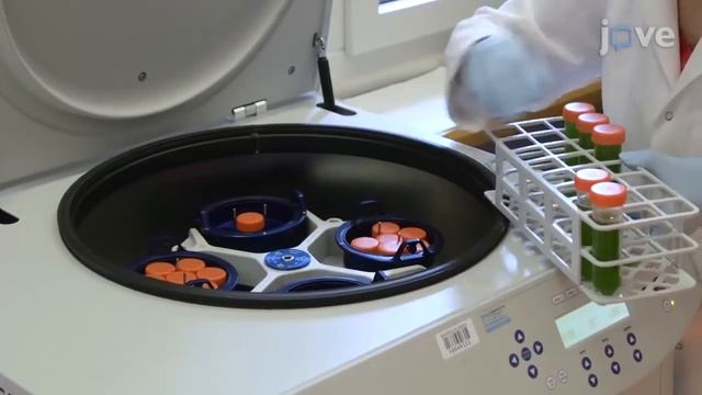 Single-Particle Reconstruction Of Chlamydomonas Centrioles l Protocol Preview смотреть онлайн