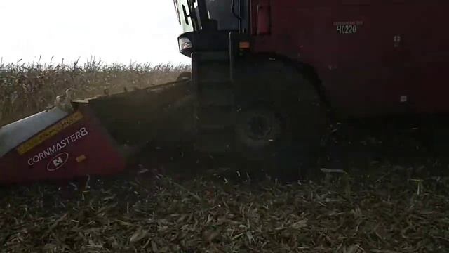 Уборка кукурузы Полесье гибрид смотреть онлайн