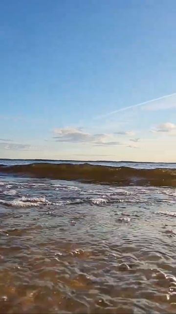 Закат. Рыбинское водохранилище #shorts смотреть онлайн