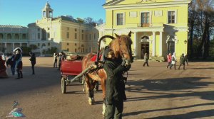 Конная прогулка