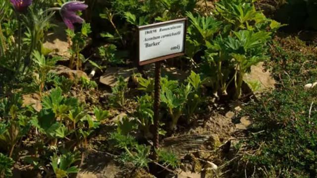 Прекрасный город Прага (часть 2) смотреть онлайн