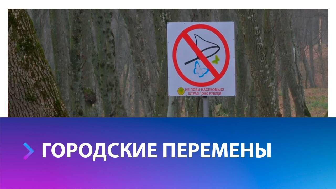 Вопросы об организации городского пространства обсудили на первом в 2025 году заседании Общественной