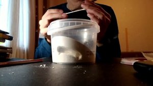 ПЕРЕСЕЛЯЮ МУРАВЬЕВ В САМОДЕЛЬНЫЙ ФОРМИКАРИЙ