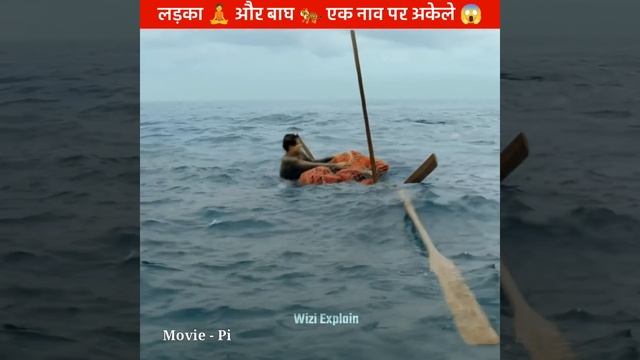 बाघ 🐯 और लड़का फंसे एक ही नाव पर | Movies explained | #shorts #moviesexplaininhindi смотреть онлайн