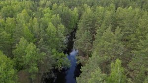 река Нерская май 2023 года