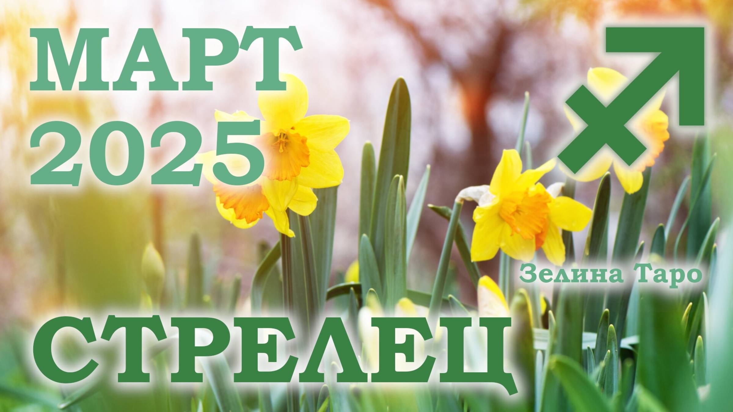 СТРЕЛЕЦ | ТАРО прогноз на неделю с 24 февраля по 2 марта 2025 года