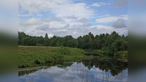 Нейросеть поет Николая Гумилева "Среди бесчисленных светил"