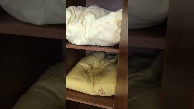 8 апреля Бутина 127 видео после уборки. смотреть онлайн