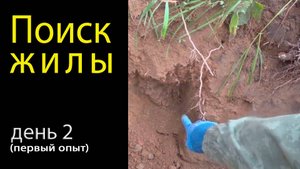 Поиск жилы с самоцветами. День 2