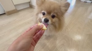 Басенька впервые пробует грушу!