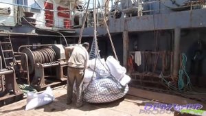 m/v "STENDE"
