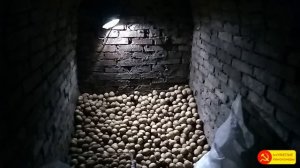 Погреб - безопасное освещение.