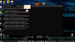 кинито пэт финал