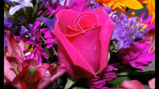 Happy Birthday Salsa Version смотреть онлайн