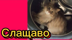 ДЕРЕВЕНСКИЙ ДНЕВНИК. "Умные и талантливые"