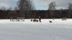 Мороз и солнце, день чудесный. Горыныч зимний.