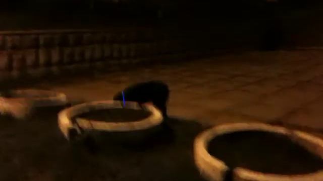 Blinking dog collar. Тюнинг Джека. Светящийся ошейник :) смотреть онлайн