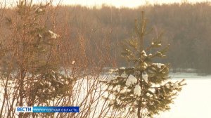 Празднование «узкой масленицы» завершается в Вологодской области