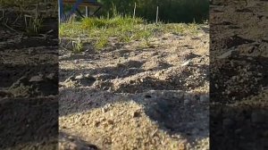 Я искупалась в одежде