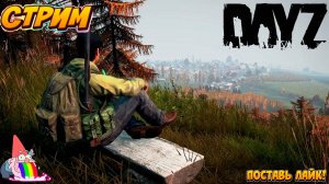 🔴Стрим/Dayz/DayzZavr/Пробуем Выжить/Пиратка