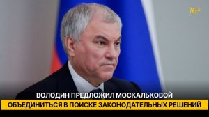 Володин предложил Москальковой объединиться в поиске законодательных решений