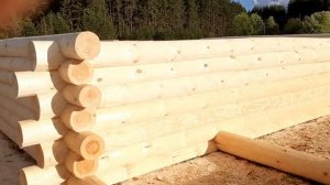 Отчет о рубке Брянск