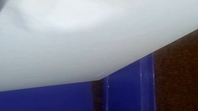 Уборка в клетке попугая. смотреть онлайн