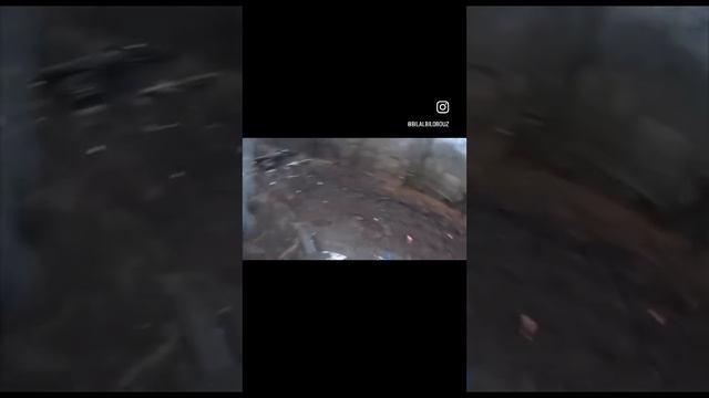 НОВОСТИ NOVOSTI