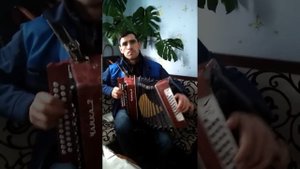 Лучший гармонист