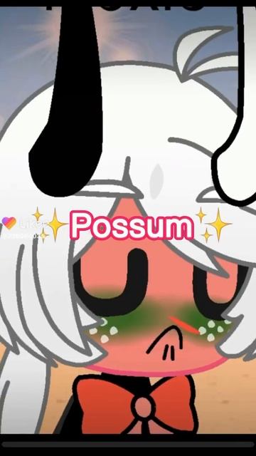 Moxie is not a Possum￼ смотреть онлайн