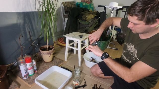 Укоренение черенков винограда
