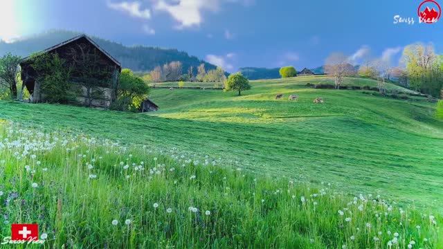 Швейцарская деревня Амден | Красивая горная долина в Швейцарии 4K , Валензее