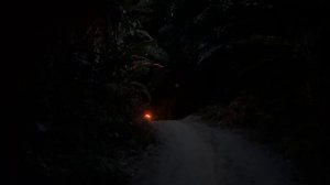 Ко Тао: Лучший Сноркелинг в Таиланде, Уединенные Пляжи с Коралловыми Рифами Прямо у Берега