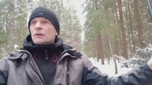 Ползем по вырубке