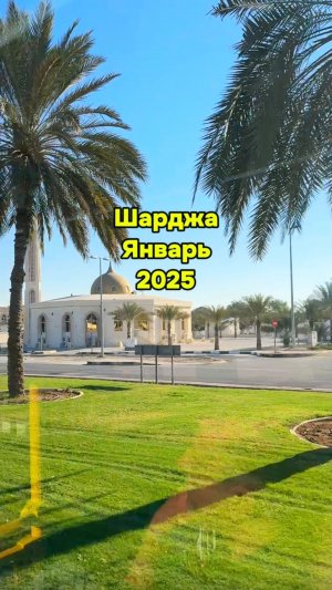 Шарджа январь 2025