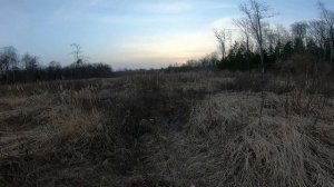 Вальдшнеп на вечерней тяге. Охота на вальдшнепа весной с манком. Весенний сезон 2021.