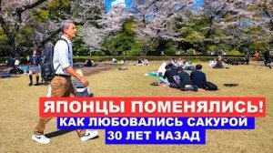 Японцы Поменялись! Как Японцы собираются на Сакуру